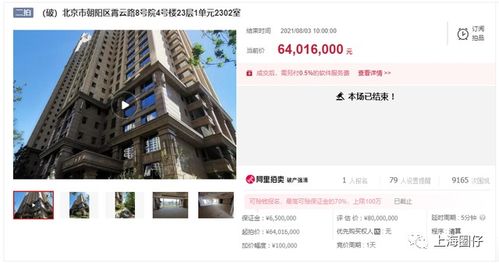 20套上海豪宅12.6亿元降价再拍